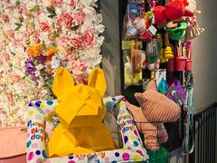 -百好乐宠物友好餐厅(朝外大街店)