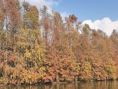 -上海海湾国家森林公园