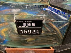 水产区-浩运·海鲜青岛菜·海胆水饺(石老人店)