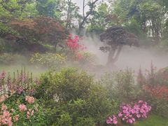 -成都大熊猫繁育研究基地