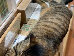 -猫的天空之城概念书店(杭州南宋御街店)