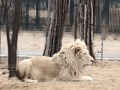 -秦皇岛野生动物园
