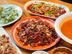 -柴窝堡22号辣子鸡·传承新疆菜