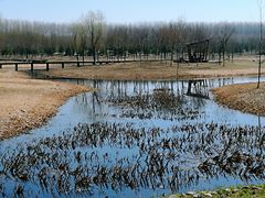 -东郊湿地公园