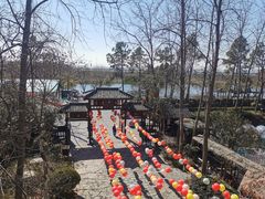 -合肥滨湖国家森林公园