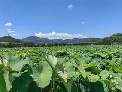 -古田会议纪念馆