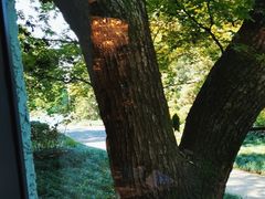 -浙江西子宾馆·瑶园咖啡厅