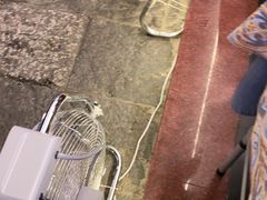 -谢三姐金奖啤酒鱼(总店)