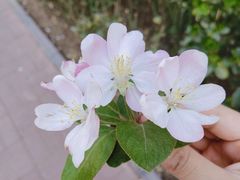 -无名居(西直门总店)