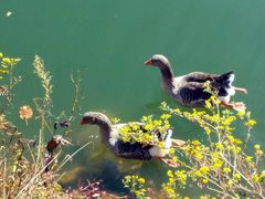 -丹东天桥沟景区