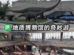 -安徽省地质博物馆