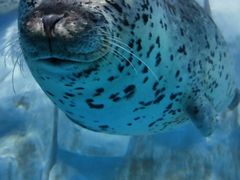 -多彩贵州城极地海洋世界