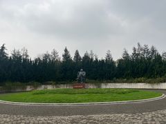 -上海海湾国家森林公园