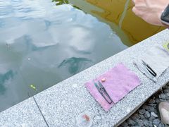-DGE季风钓虾营地·团建·聚会