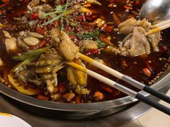 -味之绝热血美蛙鱼火锅(中坝店)