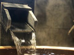 -弘安丽水温泉酒店