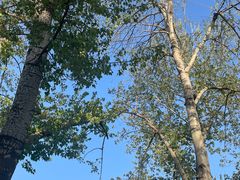 -元大都城垣遗址公园