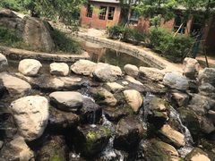 -白水寺森林公园