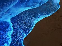 -西涌国际滨海旅游区