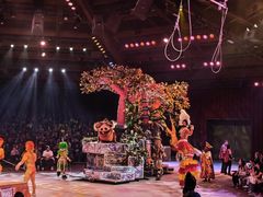 -奥兰多迪士尼动物王国乐园