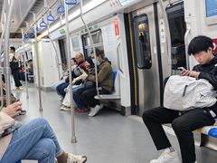 -望京西(地铁站)