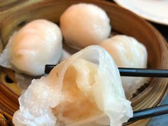 添运来虾饺皇-添运来(茶园奥园广场店)