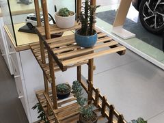 -上海先进东风标致雪铁龙4S店(青浦店)