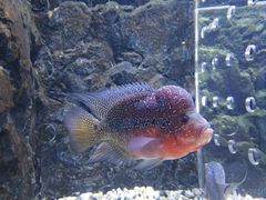 -石林冰雪海洋世界