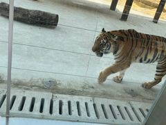 -南京金牛湖风景区