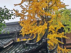 -崇州市街子古镇