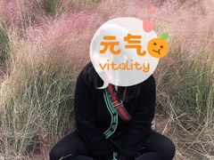 -映月湖中央公园