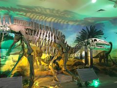 -甘肃地质博物馆