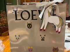 -LOEWE罗意威(万象城店)
