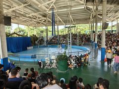 -泉州海丝野生动物世界