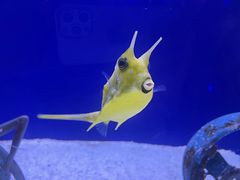 -大连圣亚海洋世界