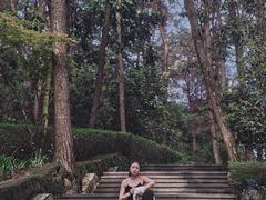 -铁山坪森林公园