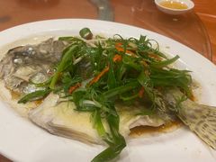 清蒸鱼-光兴海鲜排档·小炒(莱利园店)
