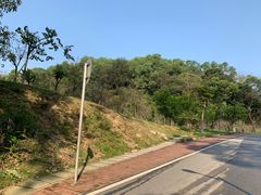 -火炉山森林公园