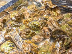 -火叮叮自助烤肉·现切牛肉(茂业店)