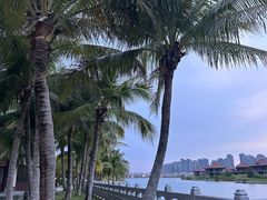 -海花岛旅游度假区