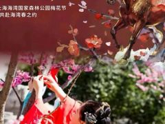 -上海海湾国家森林公园