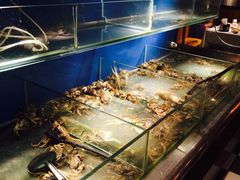 小闸蟹-多伦多海鲜自助餐厅(百盛购物中心三阳店)