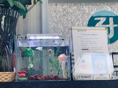 -赵军口腔(唐山街店)