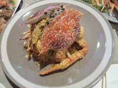 -Red Lobster