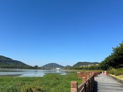 -艾米稻香小镇
