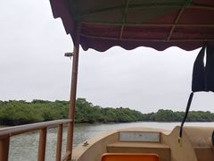 -东寨港红树林旅游区