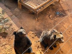 -昆明动物园