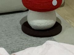 -喵zoo家庭繁育猫舍(尖东智能花园店)