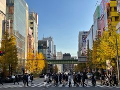 -秋叶原电器街