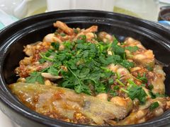 生鲜芋荷鲶鱼煲-思远客家菜馆(巴伐利亚店)